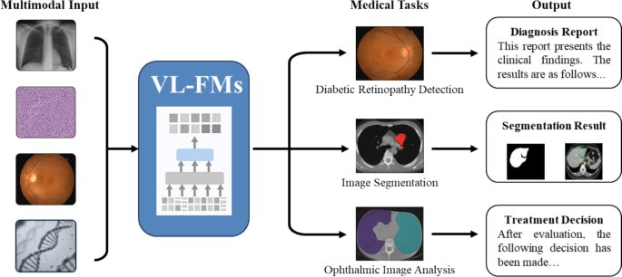 Z Visual-language foundation models for medical and clinical diagnosis ...