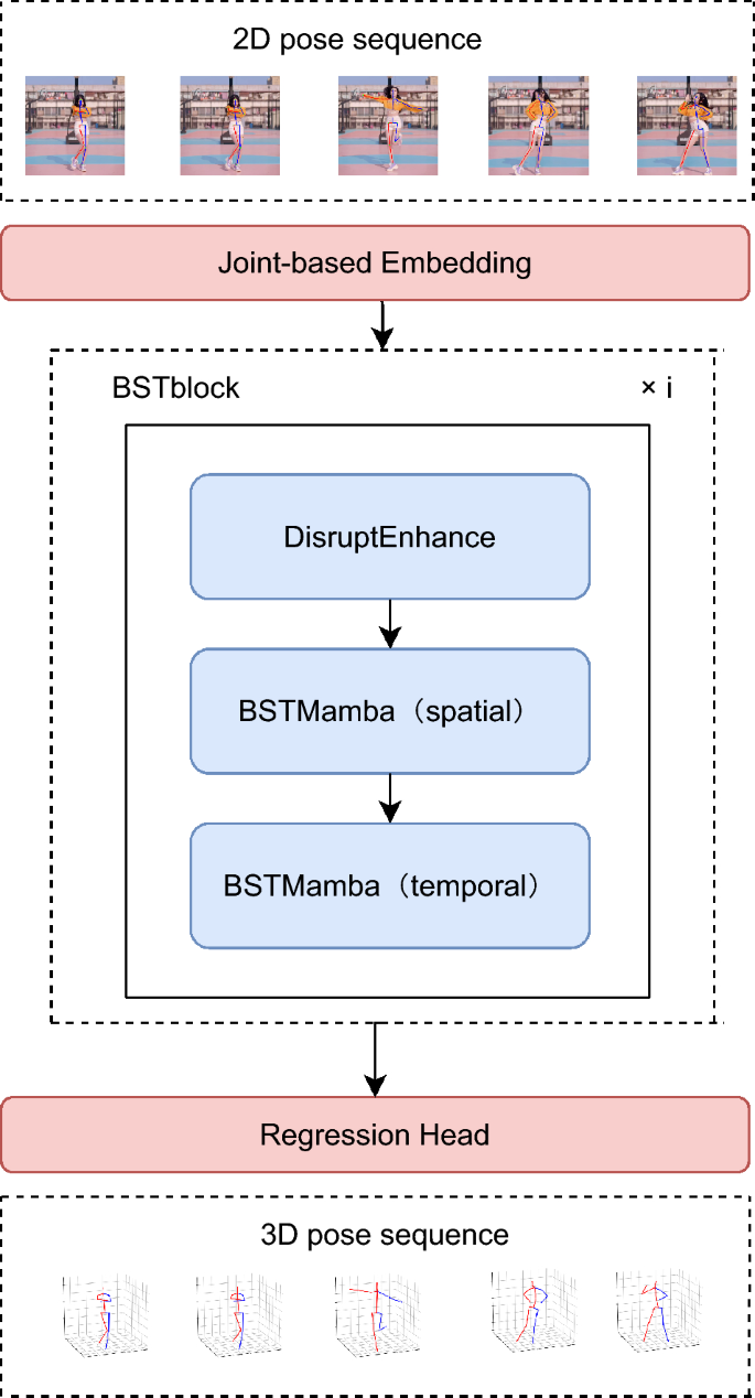 A spatiotemporal bidirectional mamba network with global–local skeletal ...