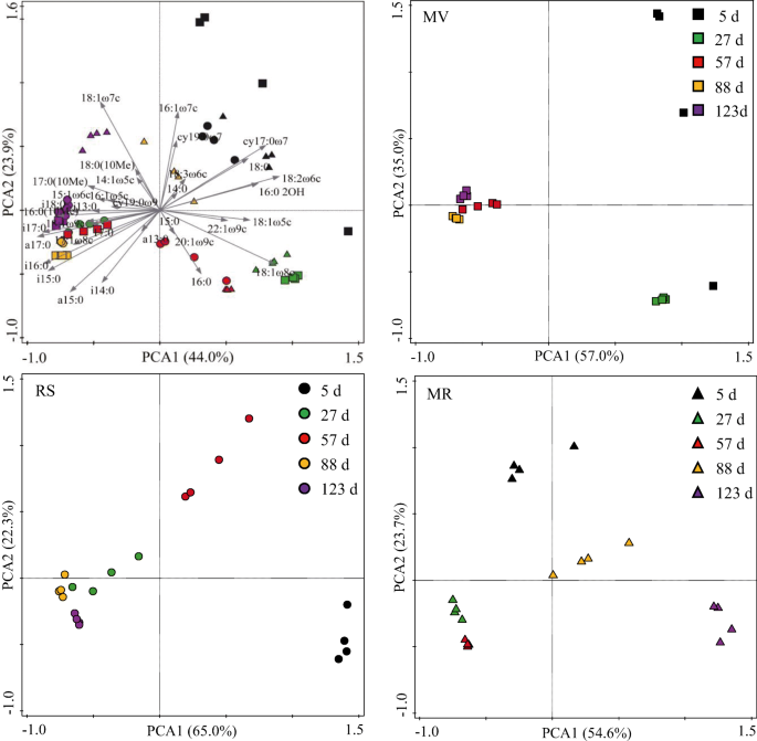Co Incorporating Leguminous Green Manure And Rice Straw Drives The Synergistic Release Of Carbon And Nitrogen Increases Hydrolase Activities And Changes The Composition Of Main Microbial Groups Springerlink