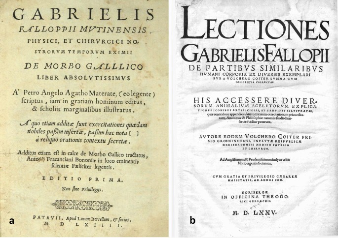 Gabriele-Falloppio-Un-Pionnier-de-l-Anatomie-et-de-la-Medecine-de-la-Renaissance