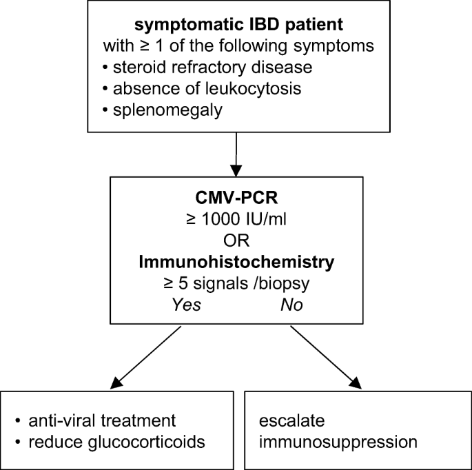 Accuracy of diagnostic tests and a new algorithm for diagnosing cytomegalovirus  colitis in inflammatory bowel diseases: a diagnostic study | SpringerLink