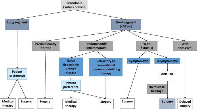 Surgical management of Crohn's disease: a state of the art review |  SpringerLink