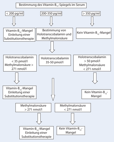 Vitamin-B12-Mangel im Alter | SpringerLink