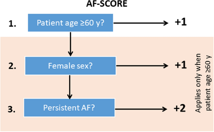 DR‐FLASH Score Is Useful for Identifying Patients With Persistent Atrial  Fibrillation Who Require Extensive Catheter Ablation Procedures