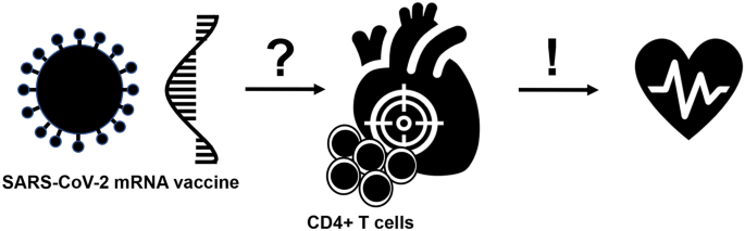  Graphical abstract