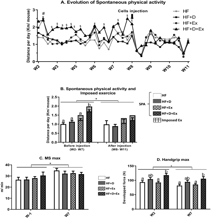 Vitamin D Supplementation Associated With Physical Exercise Promotes A Tolerogenic Immune Environment Without Effect On Mammary Tumour Growth In C57bl 6 Mice Springerlink