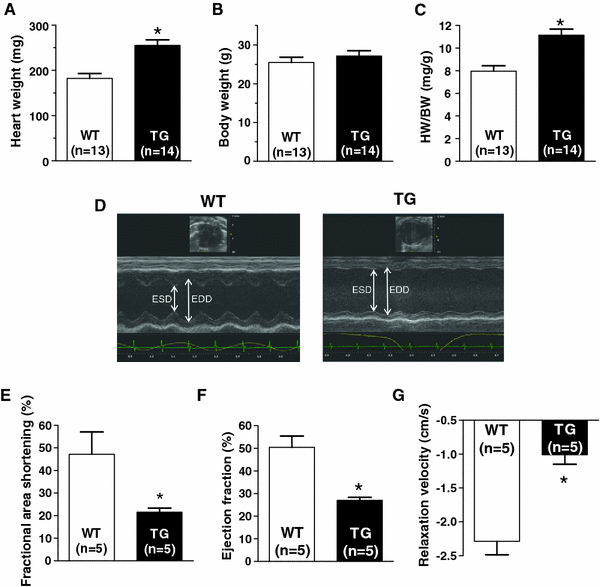 Diastolic Dysfunction And Arrhythmias Caused By Overexpression Of Camkiid C Can Be Reversed By Inhibition Of Late Na Current Springerlink