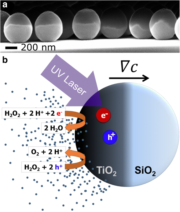 Characterization of active matter in dense suspensions with heterodyne laser  Doppler velocimetry | SpringerLink