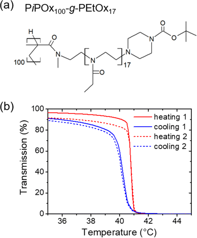 A Molecular Brush With Thermoresponsive Poly 2 Ethyl 2 Oxazoline Side Chains A Structural Investigation Springerlink