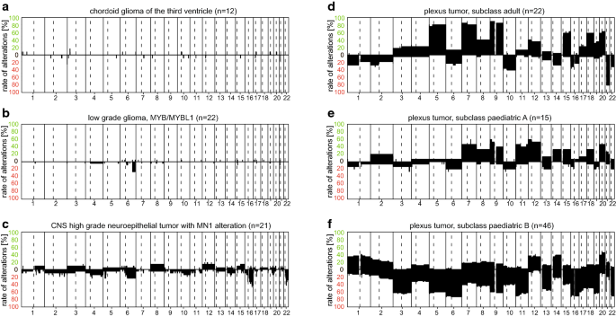 Practical Implementation Of Dna Methylation And Copy Number Based Cns Tumor Diagnostics The Heidelberg Experience Springerlink