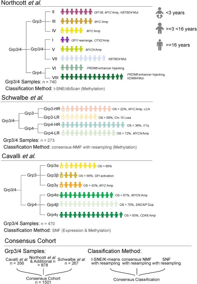 Second Generation Molecular Subgrouping Of Medulloblastoma An International Meta Analysis Of Group 3 And Group 4 Subtypes Springerlink