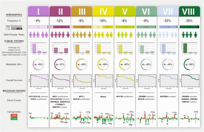 Second Generation Molecular Subgrouping Of Medulloblastoma An International Meta Analysis Of Group 3 And Group 4 Subtypes Springerlink