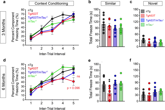 Tau Is Required For Progressive Synaptic And Memory Deficits In A Transgenic Mouse Model Of A Synucleinopathy Springerlink