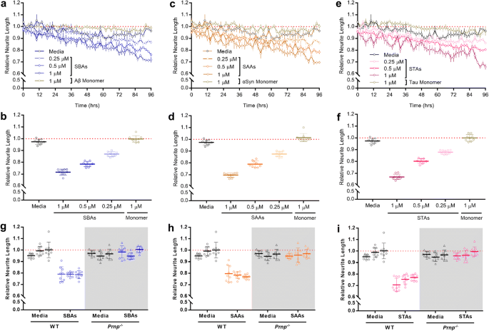 Prp Is A Central Player In Toxicity Mediated By Soluble Aggregates Of Neurodegeneration Causing Proteins Springerlink