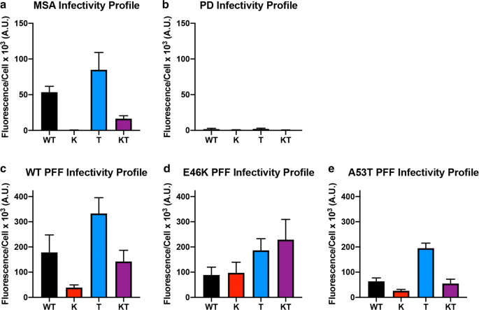 Evidence Of Distinct A Synuclein Strains Underlying Disease Heterogeneity Springerlink