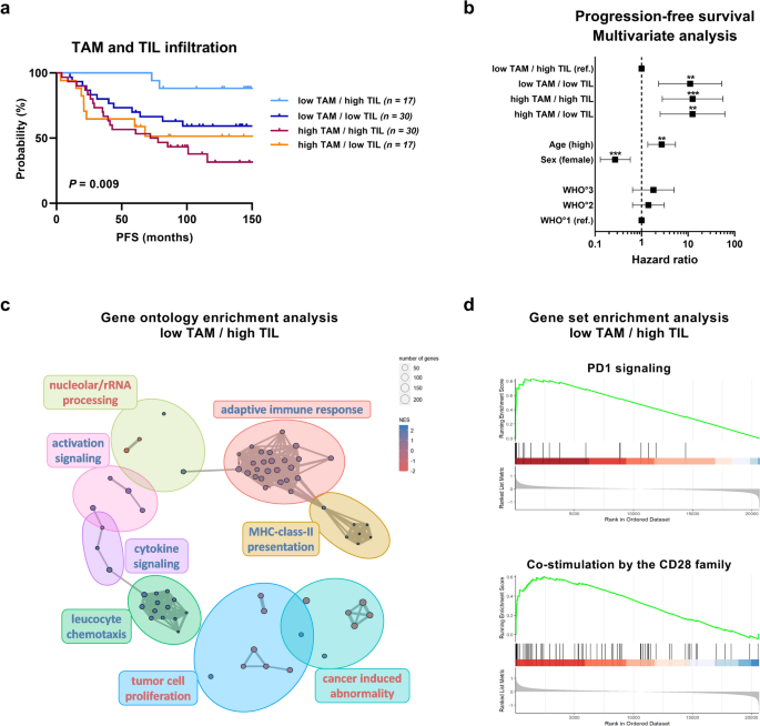 Tumor-associated macrophages in meningiomas: a novel biomarker for poor ...