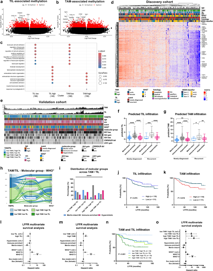 Tumor-associated macrophages in meningiomas: a novel biomarker for poor ...