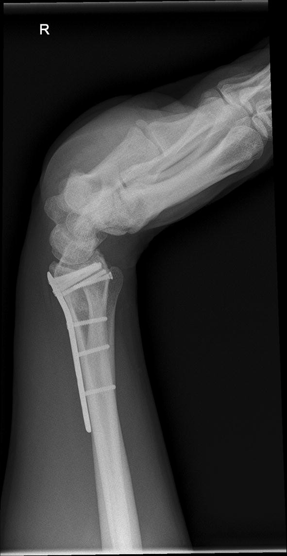 figure26