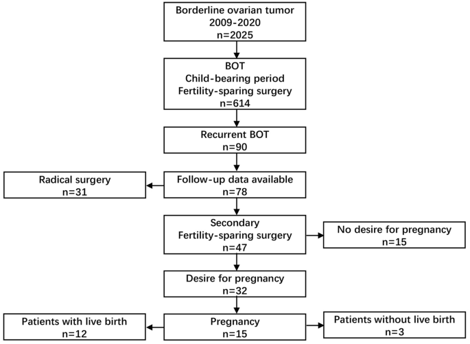 Oncological and reproductive outcomes after fertility-sparing surgery in  patients with seromucinous borderline ovarian tumor: Results of a large  retrospective study - ScienceDirect