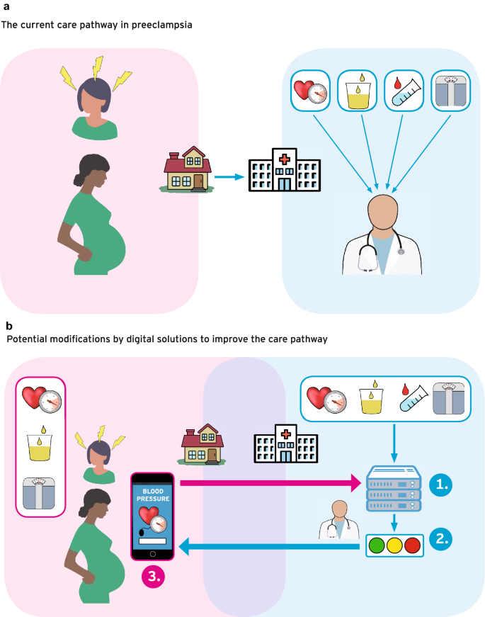 New advances in prediction and surveillance of preeclampsia: role of  machine learning approaches and remote monitoring | SpringerLink