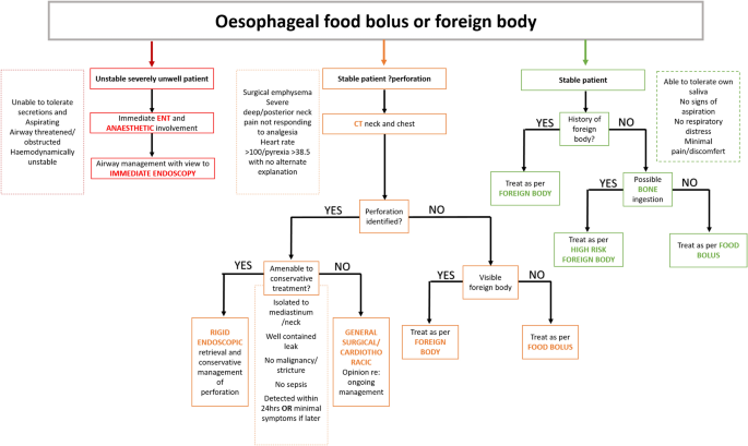 Food Bolus And Oesophageal Foreign Body A Summary Of The Evidence And Proposed Management Process Springerlink