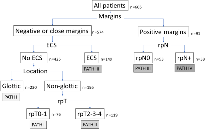 Test Path Classification PATH classification: a proposal for patients with HNSCC treated with ...