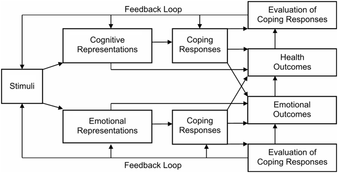 Illness perceptions in cochlear implant users – a longitudinal study ...