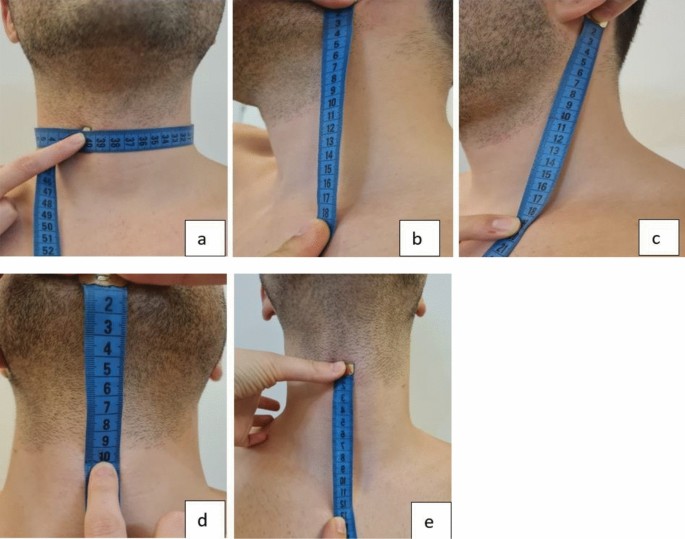 Neck Position Normal Finding A novel method of finding accessory nerve during head and neck surgery ...