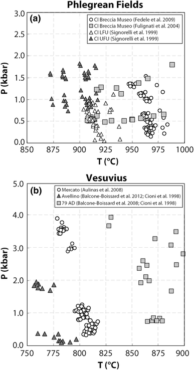 Helminthosporium levél foltos gyep A kukorica gombás betegségei és ellenük való védekezés