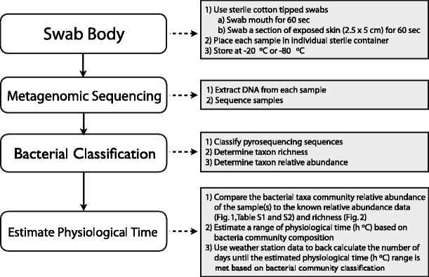 The potential use of bacterial community succession in forensics ...