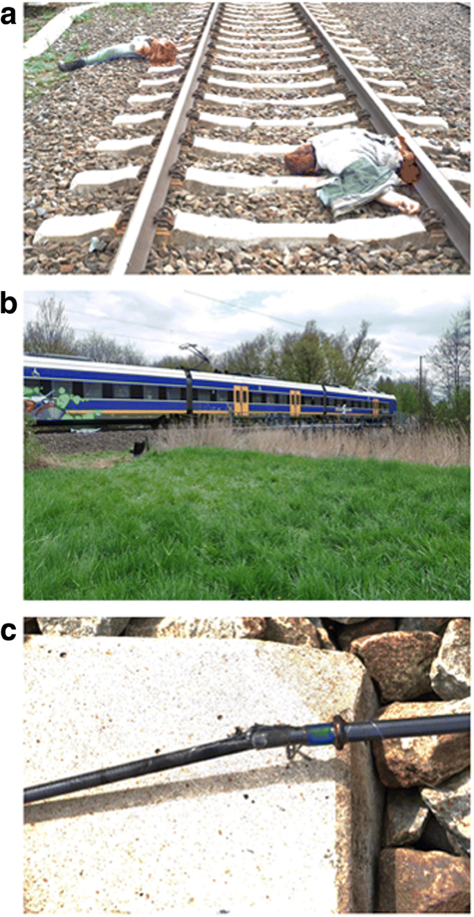 Just another railway fatality | SpringerLink