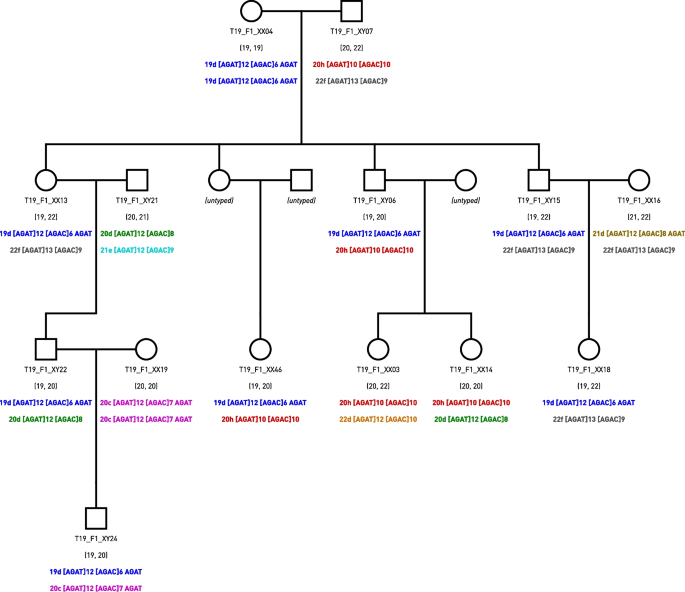 Str Genotype Evaluation of gain in statistical power for kinship analysis using ...