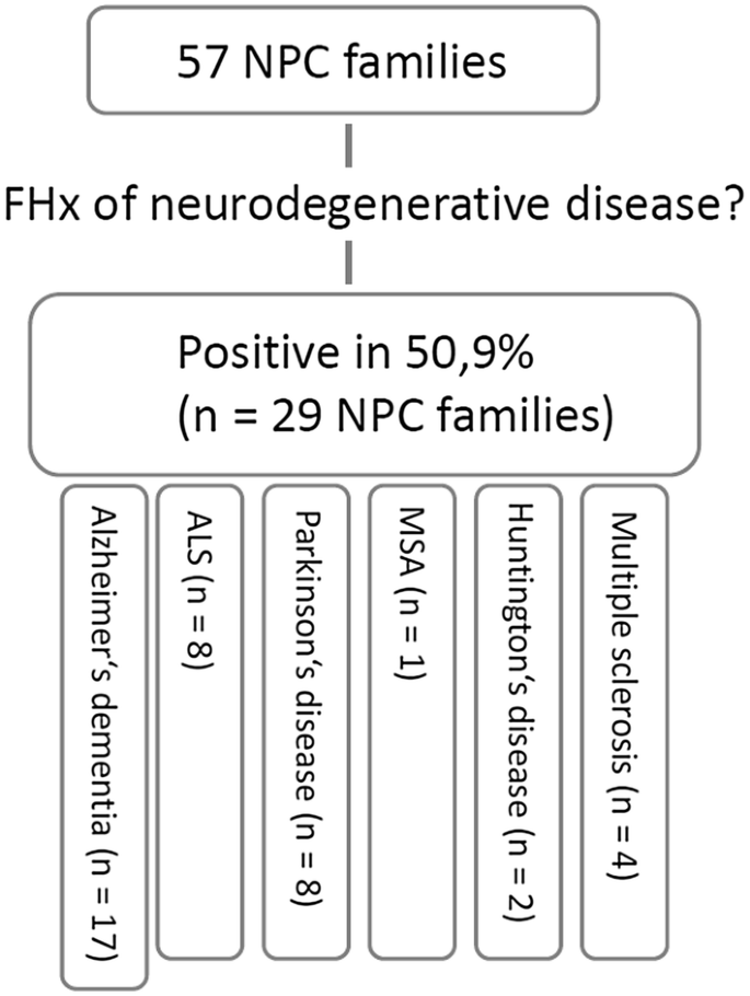 White and gray matter alterations in adults with Niemann-Pick