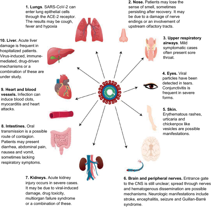 Management Of Patients With Neuromuscular Disorders At The Time Of The Sars Cov 2 Pandemic Springerlink