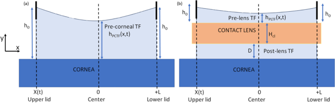 Contact lens fitting and changes in the tear film dynamics: mathematical and  computational models review