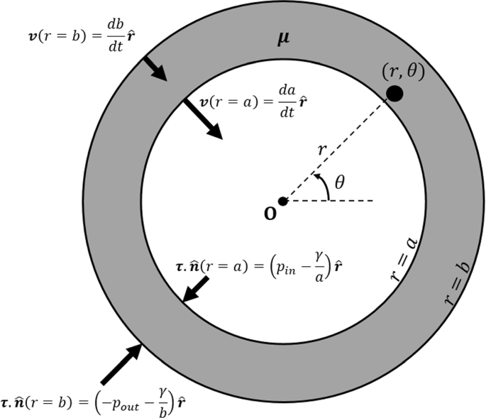 Analytic Approximation For The Collapse Of Viscous Tubes Driven By Surface Tension And Pressure Difference Springerlink