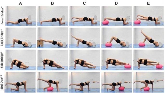 Core Stability Exercises - Monarch Physiotherapy Clinic