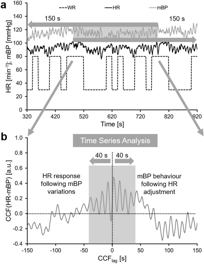 Time Series Analysis Of Heart Rate And Blood Pressure In Response To Changes In Work Rate Before And After 60 Days Of 6 Head Down Tilt Bed Rest Springerlink Time Series Analysis Of Heart Rate And Blood Pressure In Response To Changes In Work Rate Before And After 60 Days Of 6 Head Down Tilt Bed Rest Springerlink
