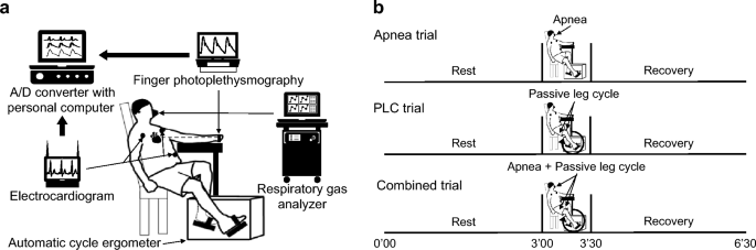 holding breath heart rate experiment figure 1