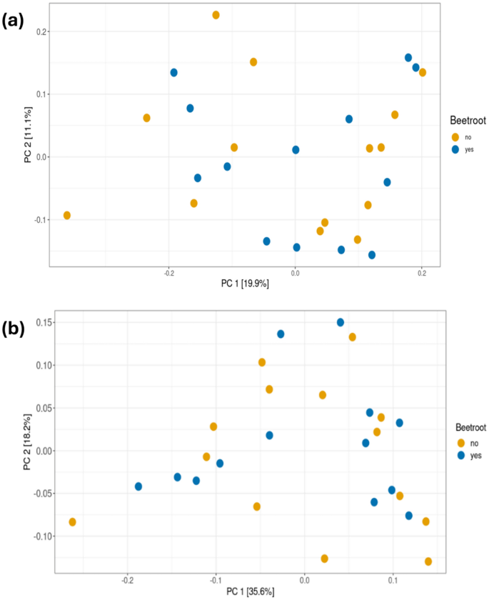 Acute inorganic nitrate ingestion does not impact oral microbial ...