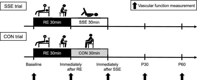 Acute effect of static stretching on arterial stiffness following high ...