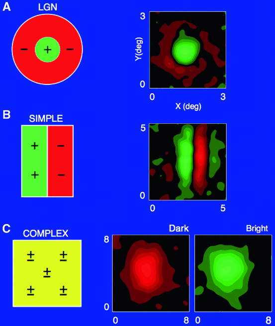 figure 21