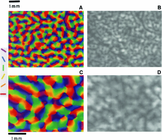 figure 27