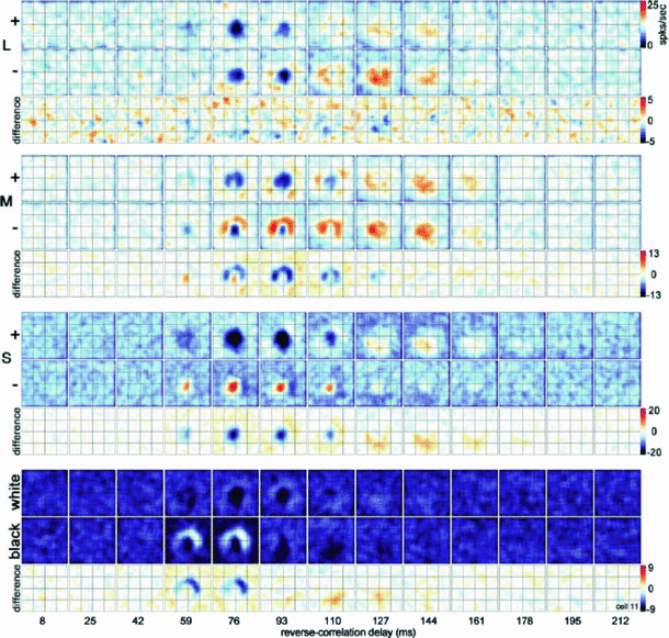 figure 32