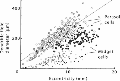 figure 35