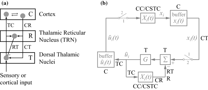 A Theory Of Consciousness Computation Algorithm And Neurobiological Realization Springerlink
