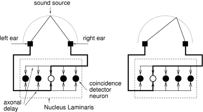 what is the importance of mathematics in nature essay figure 1