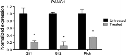 18th Annual Meeting On Surgical Research Springerlink