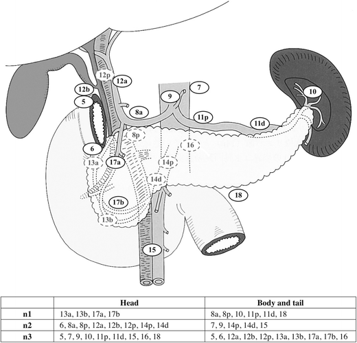 Lymph Node Ratio As Parameter Of Regional Lymph Node Involvement In  Pancreatic Cancer | Springerlink