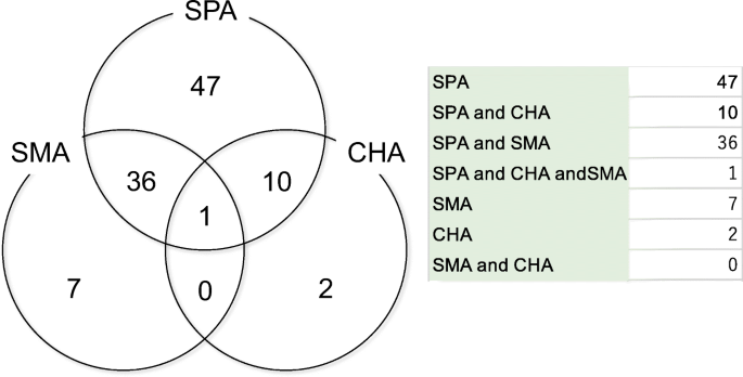 Evaluation Of Relationship Between Splenic Artery And Pancreatic Parenchyma Using Three Dimensional Computed Tomography For Laparoscopic Distal Pancreatectomy Springerlink